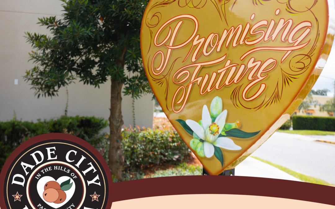 Join The Dade City Youth Council!